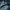 Nike Sportswear Sneakers Pria blue photo 4