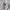 Adidas Sportswear Casual shoe Pria white photo 3