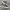 Vans Authentic OG LX Comme Des Garcons CDG Print Original photo 3