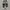 Vans Authentic OG LX Comme Des Garcons CDG Print Original photo 5