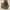 Rare Timberland Woolrich Boots Brown Leather Vintage Style photo 1