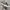 Vans Authentic OG LX Comme Des Garcons CDG Print Original photo 1