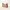 Coach COC Teri in Signature Shoulder & Crossbody Bag in Tan/ photo 3