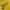 Y2k Lover Girl Tank Top Hollywood Yellow photo 3