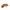 Marc Jacobs MJ The Snapshot DTM Pink Sunkissed Crossbody Bag photo 1