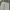 Basic Cargo Pants Tan Color photo 5