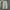 Basic Cargo Pants Tan Color photo 4