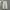 Basic Cargo Pants Tan Color photo 1
