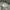 Basic Cargo Pants Tan Color photo 6