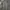 Disciple Motorcyclist Cargo Pants Brown photo 4