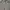 Disciple Motorcyclist Cargo Pants Brown photo 2