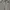 Disciple Motorcyclist Cargo Pants Brown