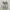 Nike Streetwear Y2K Sneakers Pria silver black photo 4