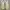 Nike Streetwear Gorpcore Sneakers Pria white yellow photo 2