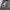 Luxury Avant Garde Trench coat Pria black photo 8
