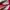 The North Face Sportswear Casual Windbreaker Kids pink photo 4