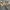 Celana Carpenter Carhartt Original  photo 7