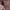 COD H&M ORI ADEMM ATASAN WANITA CANTIK SOFT PINK photo 3