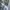 Zara | Bohemian Babydoll Salur Bordir photo 4