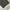 bagy jenas black washh order photo 4