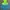 The North Face Sportswear Casual Track jacket Kids blue photo 1