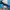 The North Face Sportswear Casual Track jacket Kids blue photo 4