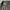 NRML Street photo 5