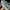 Vans old school eco dry heiq photo 1