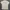 Lacoste Luxury Casual Shirt Wanita multicolor photo 5