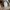 National geographic patch photo 6