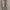 LOOK LIKE ZIMMERMANN NINETY SIX PAISLEY FLORAL FILIGREE BLOU photo 2