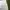 Chanel Casual Skirt Wanita white photo 4