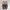 Ted Baker London Muddi Leather Tassel Loafer photo 2