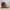 Timberland Alburn 6 In Waterproof Leather Boot photo 4
