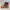 Timberland Alburn 6 In Waterproof Leather Boot photo 5