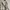 GU Japan puffer winter jacket photo 1