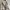 GU Japan Puffer Winter Jacket