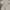 Chinese White Embroidery Cheongsam Shirt photo 4