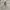 Chinese White Embroidery Cheongsam Shirt photo 5