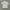 Chinese White Embroidery Cheongsam Shirt photo 2