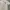 Chinese White Embroidery Cheongsam Shirt photo 3