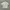 Chinese White Embroidery Cheongsam Shirt photo 1