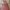 pink corduroy pinafore dress photo 1