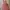 Pink Corduroy Pinafore Dress