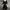 H&M RIB KNIT BODYCON DRESS - BLACK