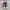 Converse Gorpcore Casual Sneakers Pria white green photo 3