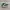 Converse Gorpcore Casual Sneakers Pria white green photo 1
