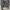 Schott Perfecto sz 42 photo 6