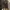 Schott Perfecto sz 42 photo 1