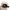 Obey Casual Hat Pria tan photo 3